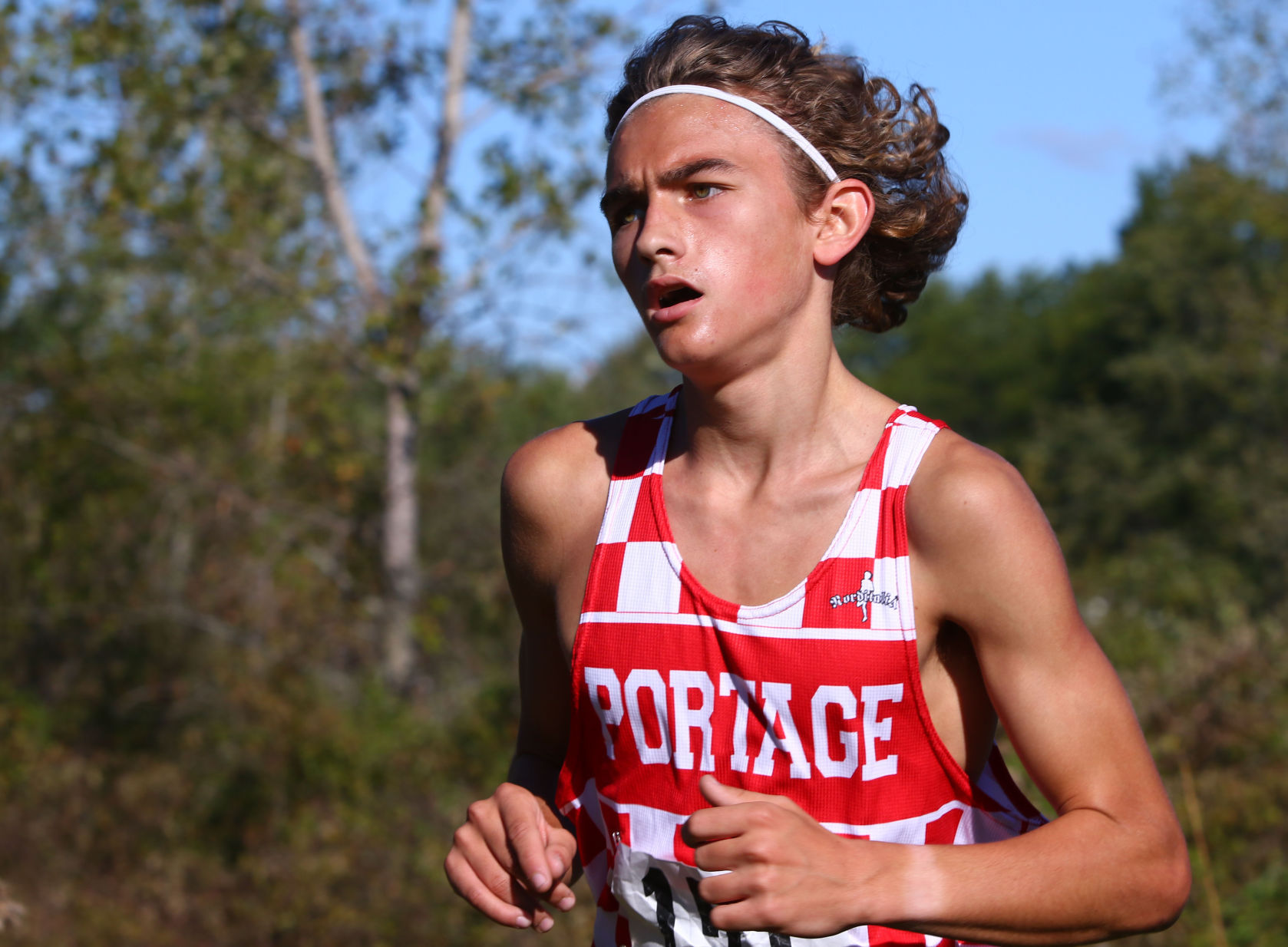 Gallery: Duneland Athletic Conference cross country meet